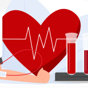 Blood Donation Platform Software With Website